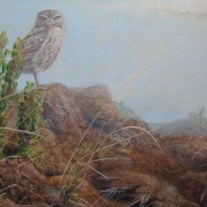 "Desert Outcrop" (Burrowing Owl" by Mark Chester