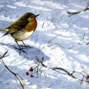 "Robin" (Shadows in the Snow) by Terance James Bond