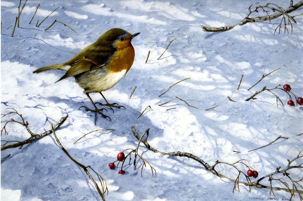 "Robin" (Shadows in the Snow) by Terance James Bond