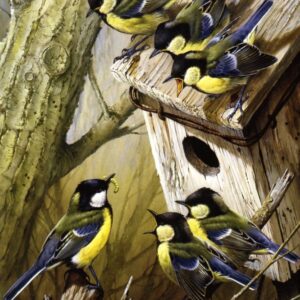 "Feeding the Family" (Great Titmouse and family) by Terance James Bond