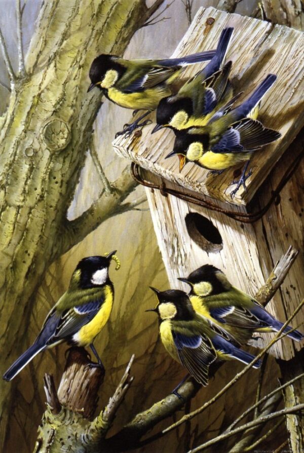 "Feeding the Family" (Great Titmouse and family) by Terance James Bond