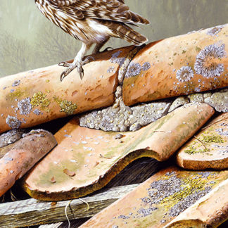 Little Owl (On The Tiles) by Terance James Bond