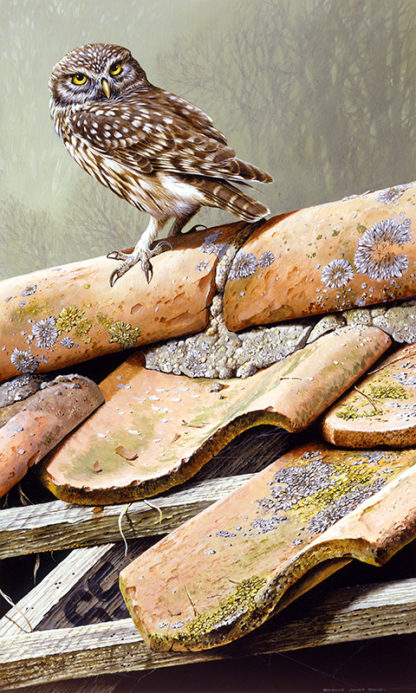 Little Owl (On The Tiles) by Terance James Bond