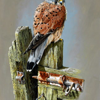 The Gatekeeper (Kestrel) by Terance James Bond