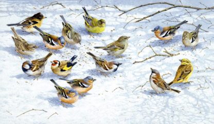 Winter Finches by Terance James Bond