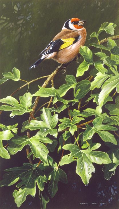 Goldfinch by Terance James Bond