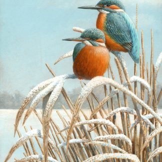 Winter Reeds by Mark Chester