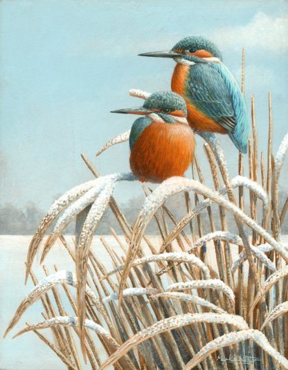 Winter Reeds by Mark Chester