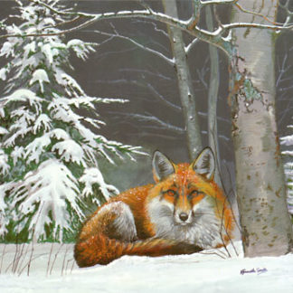 Winter Fox by Kenneth Smith