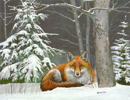 Winter Fox by Kenneth Smith