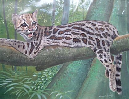 Margay by Kenneth Smith