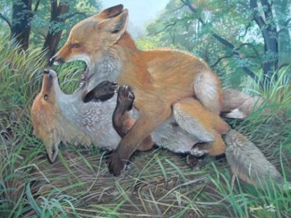 Fox Cub Frolics by Kenneth Smith