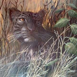 Black Leopard by Mark Chester