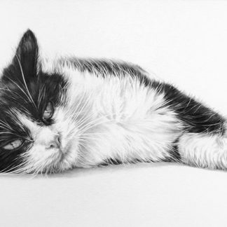 Lazy Days by Maria Brown - Your Cat?