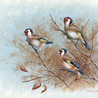 Autumn Goldfinches by Mark Chester