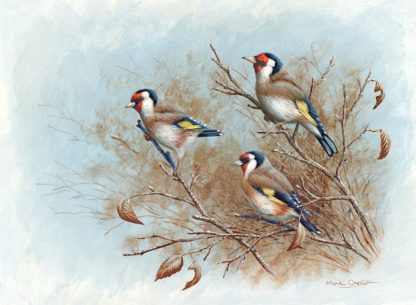 Autumn Goldfinches by Mark Chester