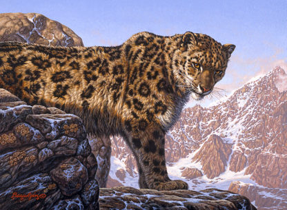 Top of the World (Snow Leopard)