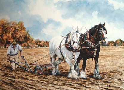 Autumn Ploughing