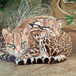 Ocelot Pair by Kenneth Smith