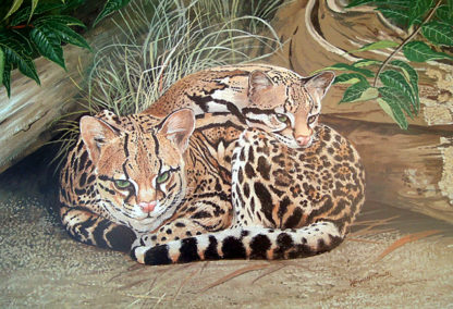 Ocelot Pair by Kenneth Smith