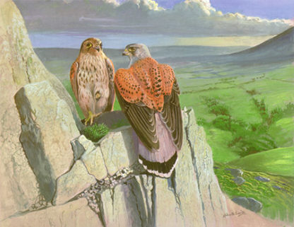 Kestrels Crag