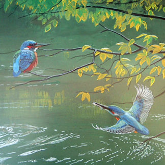 Kingfishers by Kenneth Smith