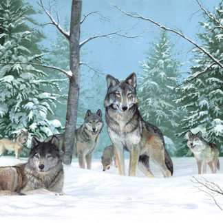 The Pack by Kenneth Smith