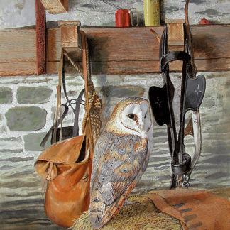 The Owl Barn by Kenneth Smith