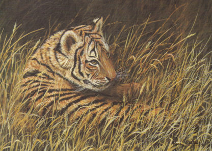 Resting Tiger Cub by Mark Chester