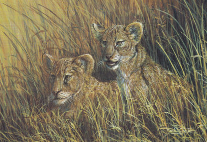 Lion Cubs by Mark Chester