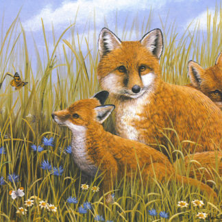 Fox Cub Trio by Mark Chester