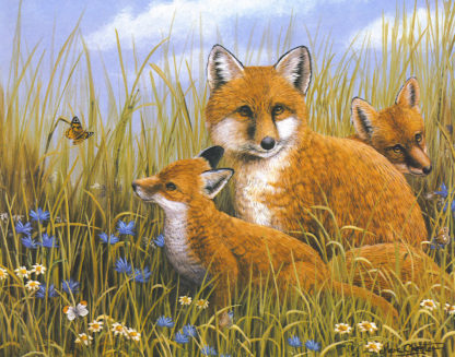 Fox Cub Trio by Mark Chester