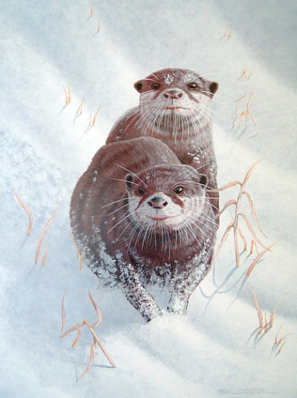 Snow Otters by Mark Chester