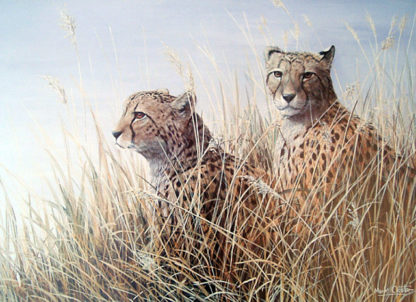 Watching Out (Cheetahs) by Mark Chester