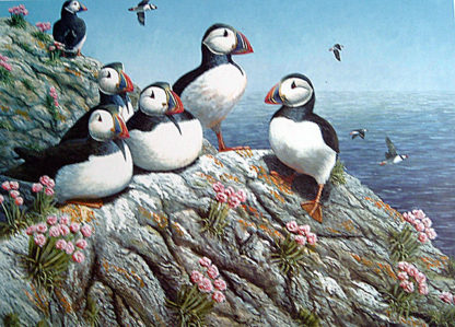 Cliff Top Retreat (Puffins) by Mark Chester