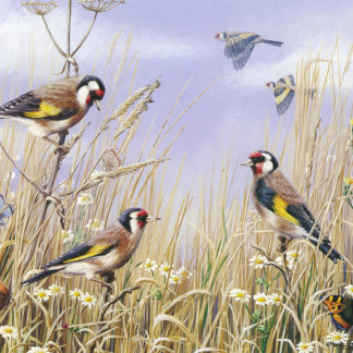 Summer Goldfinches by Mark Chester