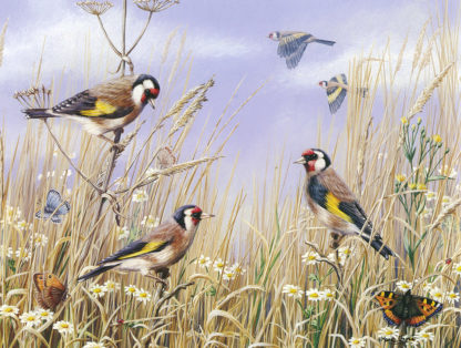 Summer Goldfinches by Mark Chester