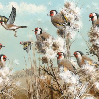 ThistleDown (Goldfinches) by Mark Chester