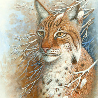European Lynx by Mark Chester