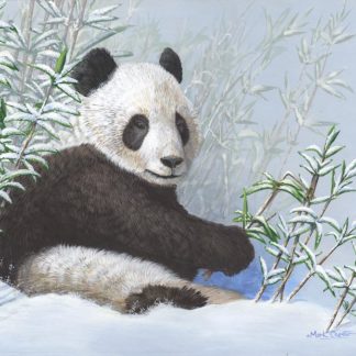 Giant Panda by Mark Chester