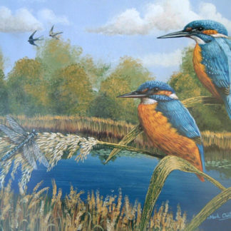 Summer Kingfishers by Mark Chester