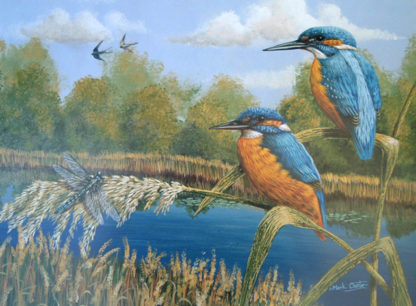 Summer Kingfishers by Mark Chester