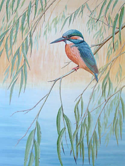 Kingfisher by Mark Chester