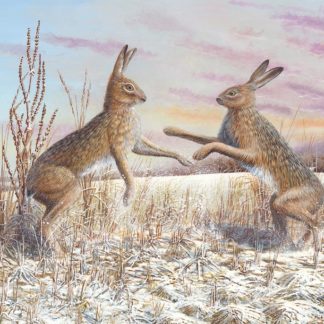 Boxing Hares by Mark Chester