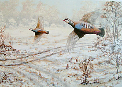 Winter Flight (Red-legged Partridges) by Mark Chester