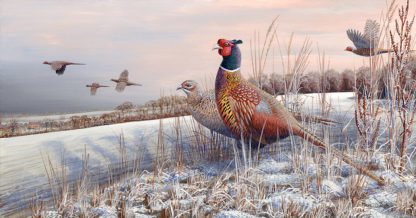 Pheasants Over Shingle Hill by Mark Chester